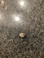 Pandora Charm roter Stein