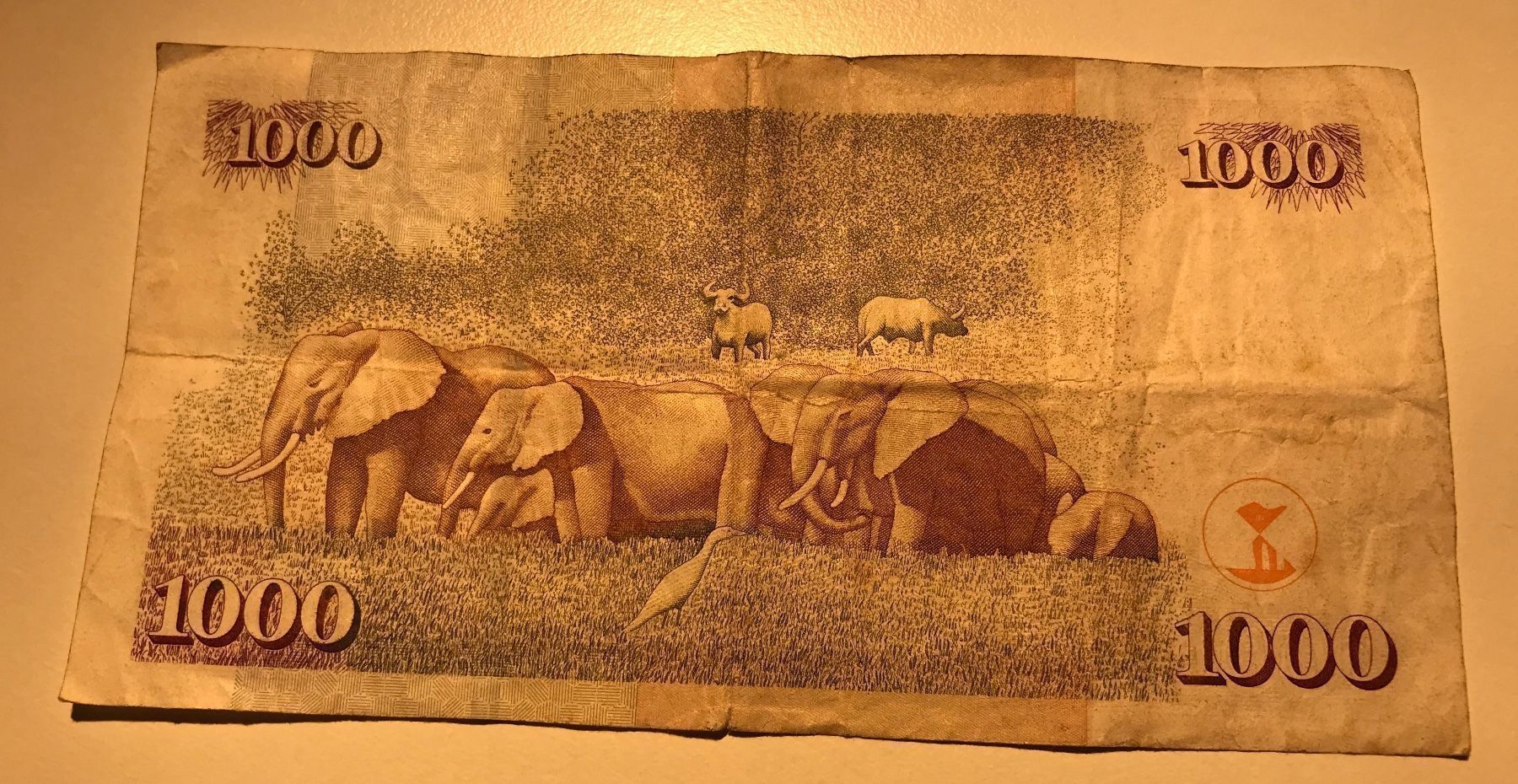 Banconote: Kenia 1000 Shillings 2004 – Usato da Algetshausen venduto da Carrhard 1