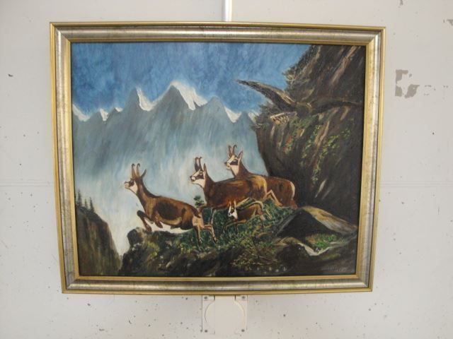 Foto & Immagini: H.Rohrer Gemsen im Gebirge – Usato da Trachslau venduto da post35