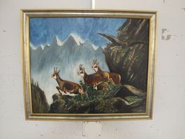 H.Rohrer Gemsen im Gebirge