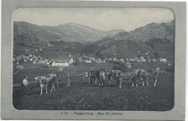 Landwirtschaft/Kühe 1917 Neu St. Johann