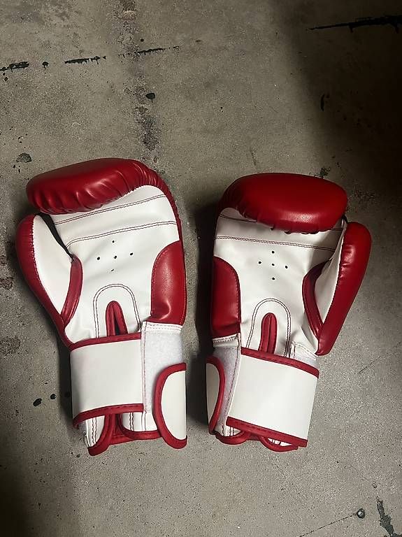 Sacchi da boxe: Boxsack – Usato da Solothurn venduto da Annamafa01 4