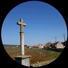 Profile image of Best_World_Wines