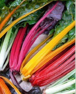 Piante & sementi: Mangold Rainbow / 10 Samen – Nuovo (secondo la descrizione) da Hinteregg venduto da ERFOLG78