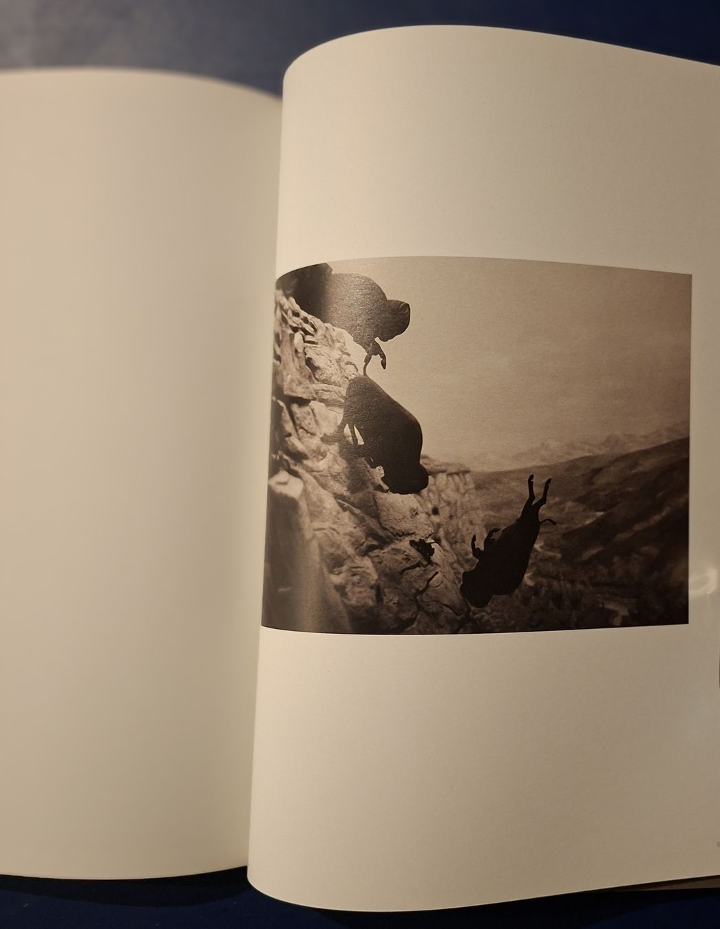 Libri: Danh Vo Gomomnimada Buch neu Zustand – Nuovo (secondo la descrizione) da Niederglatt ZH venduto da Siegfried67 8