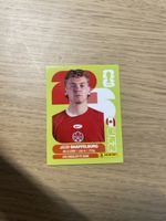 Panini FIFA WC CAN 14