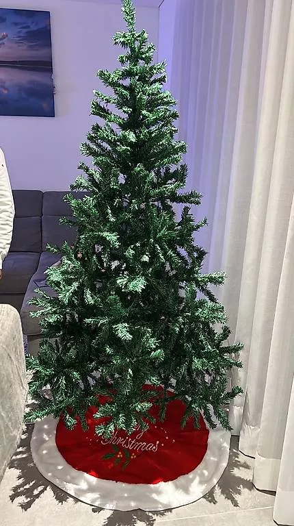 Tutte le decorazioni: Albero di Natale  – Usato da Cugnasco venduto da elisadg02