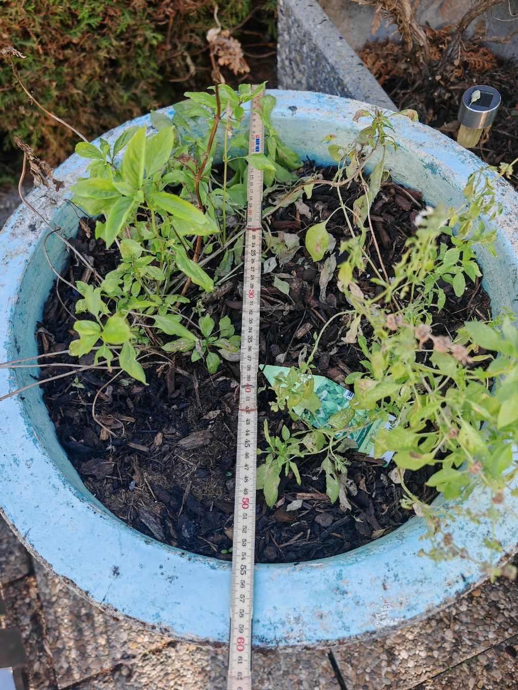 Vasi per fiori: Beton Blumen Trog – Usato da Menziken venduto da Hangover95 2