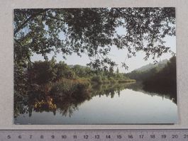 Alter Rhein bei Rüdlingen