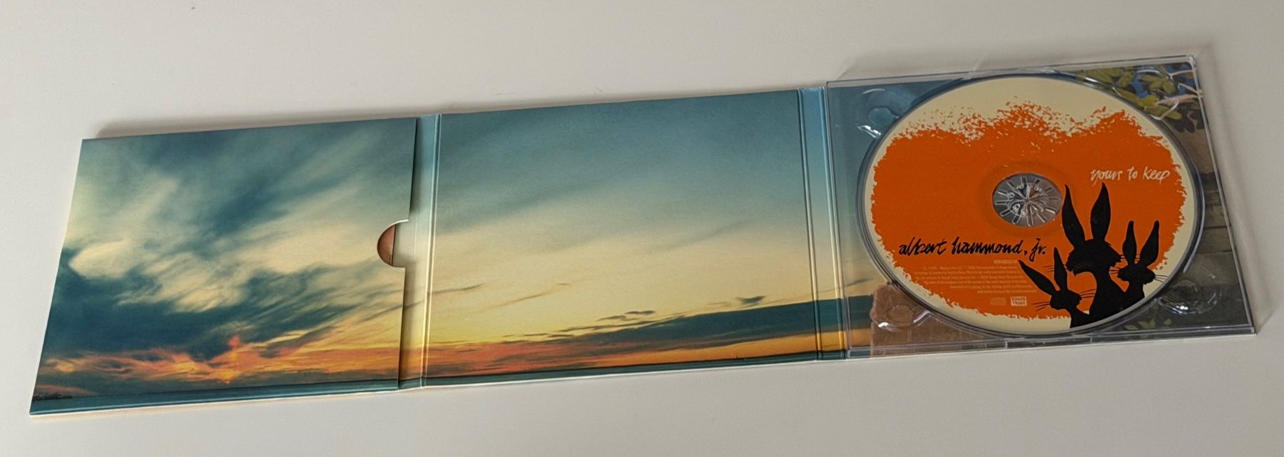 CDs: Albert Hammond Jr. - Yours to Keep CD - Digipack – Gebraucht aus Altstätten SG von sheamus 1
