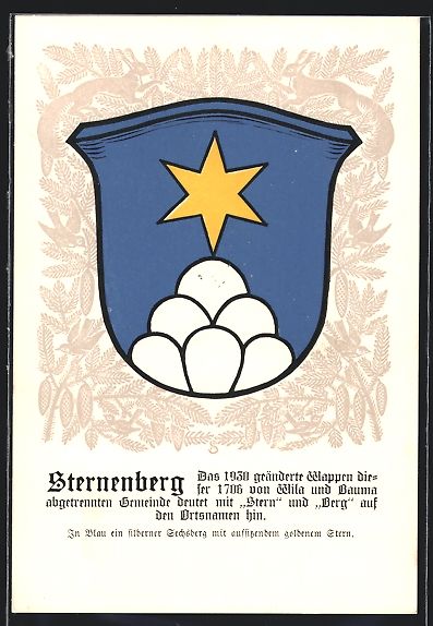 Cartoline postali: AK Sternenberg, Wappen der Gemeinde – Usato da Berlin venduto da bartko-reher
