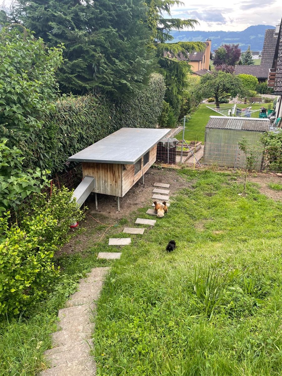 Gabbie, trasporto & Sicurezza: Hühnerstall mit viel Zubehör – Usato da Wolfhausen venduto da SchuSchuS 1