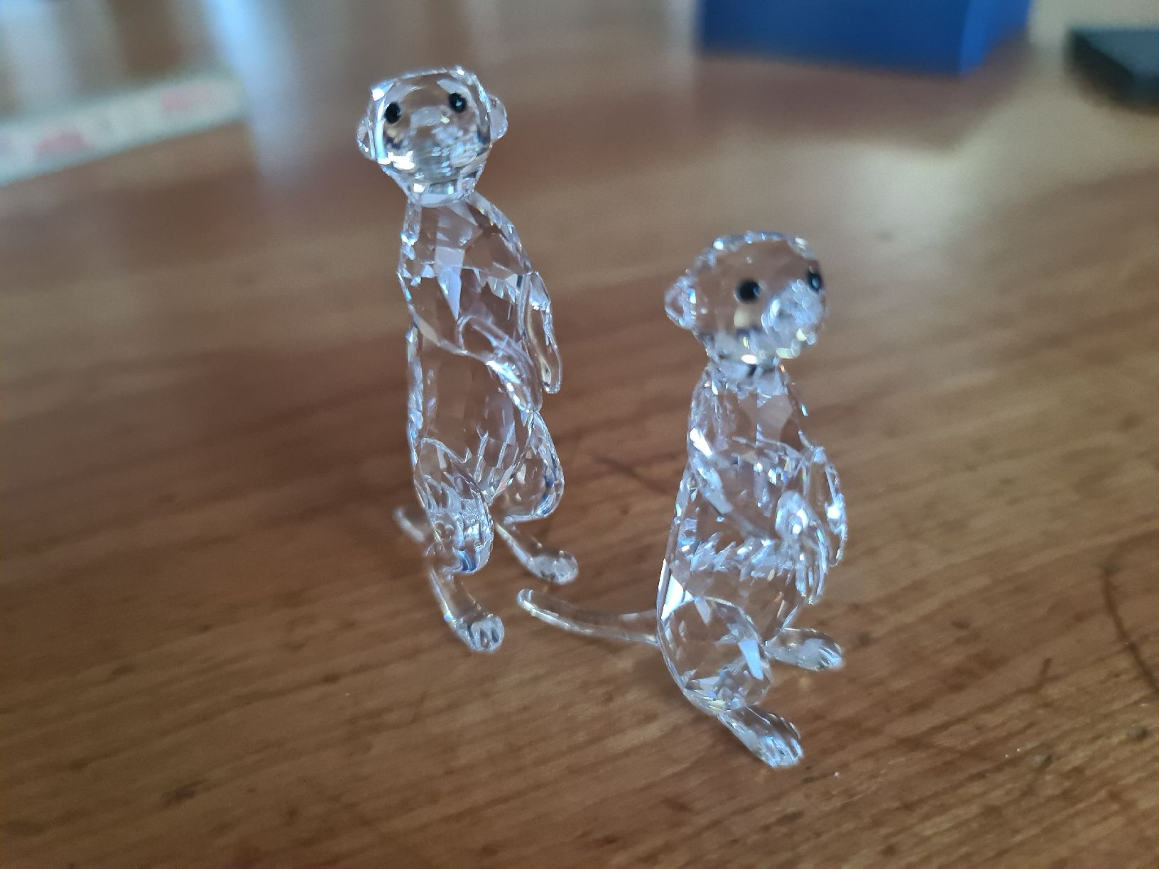 Swarovski Statuette: Swarovski Figur Erdmännchen Originalverpackt  – Usato da henau venduto da Rockj 1