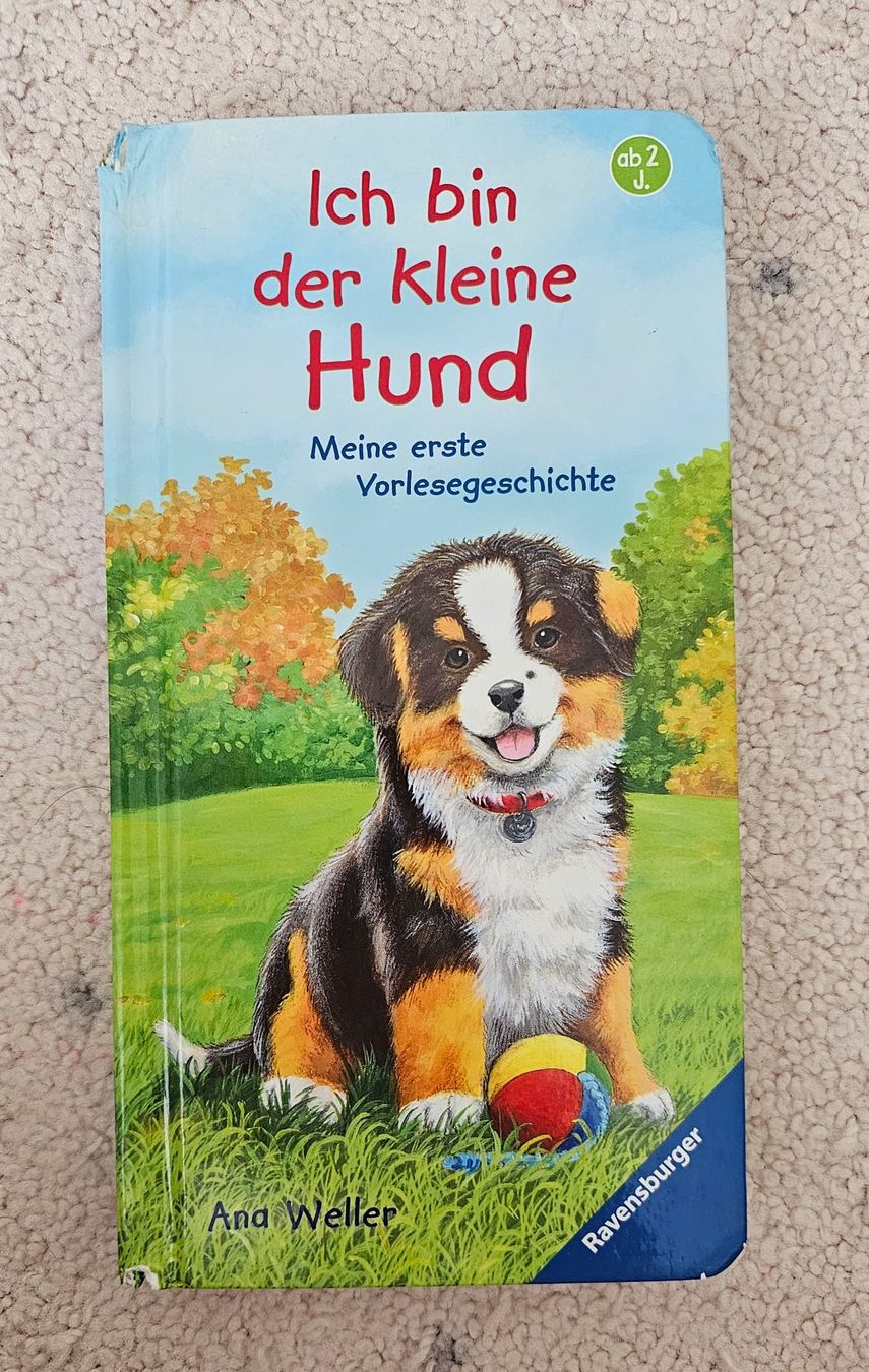 Bücher: Kinderbuch – Gebraucht aus Kreuzlingen von nilguen