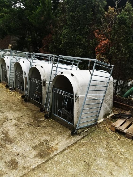 Gabbie, trasporto & Sicurezza: Kälberiglu – Usato da Esslingen venduto da ric_ly2m