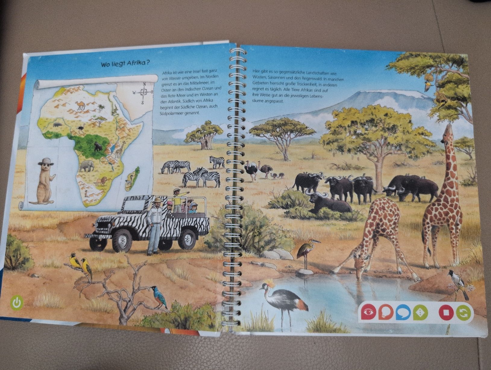 Libri: tiptoi Entdecke die Tiere Afrikas Buch – Usato da Schwerzenbach venduto da _charme_ 1