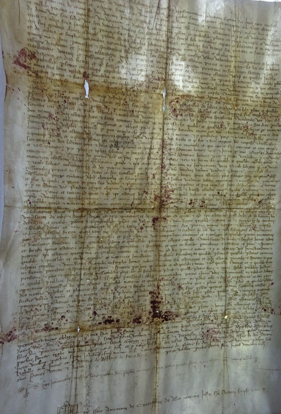 Bücher: Renaissance Handschrift Pergament 1489 Prokura – Gebraucht aus Esslingen von eintagammeer 2