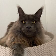 Profile image of Barbraa