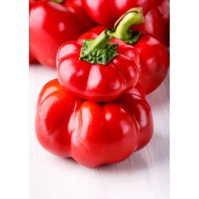 Piante & sementi: 50 Samen Gemüsepaprika TOPEPO ROSSO – Nuovo (secondo la descrizione) da Ehrendingen venduto da VerveinaSamen 5