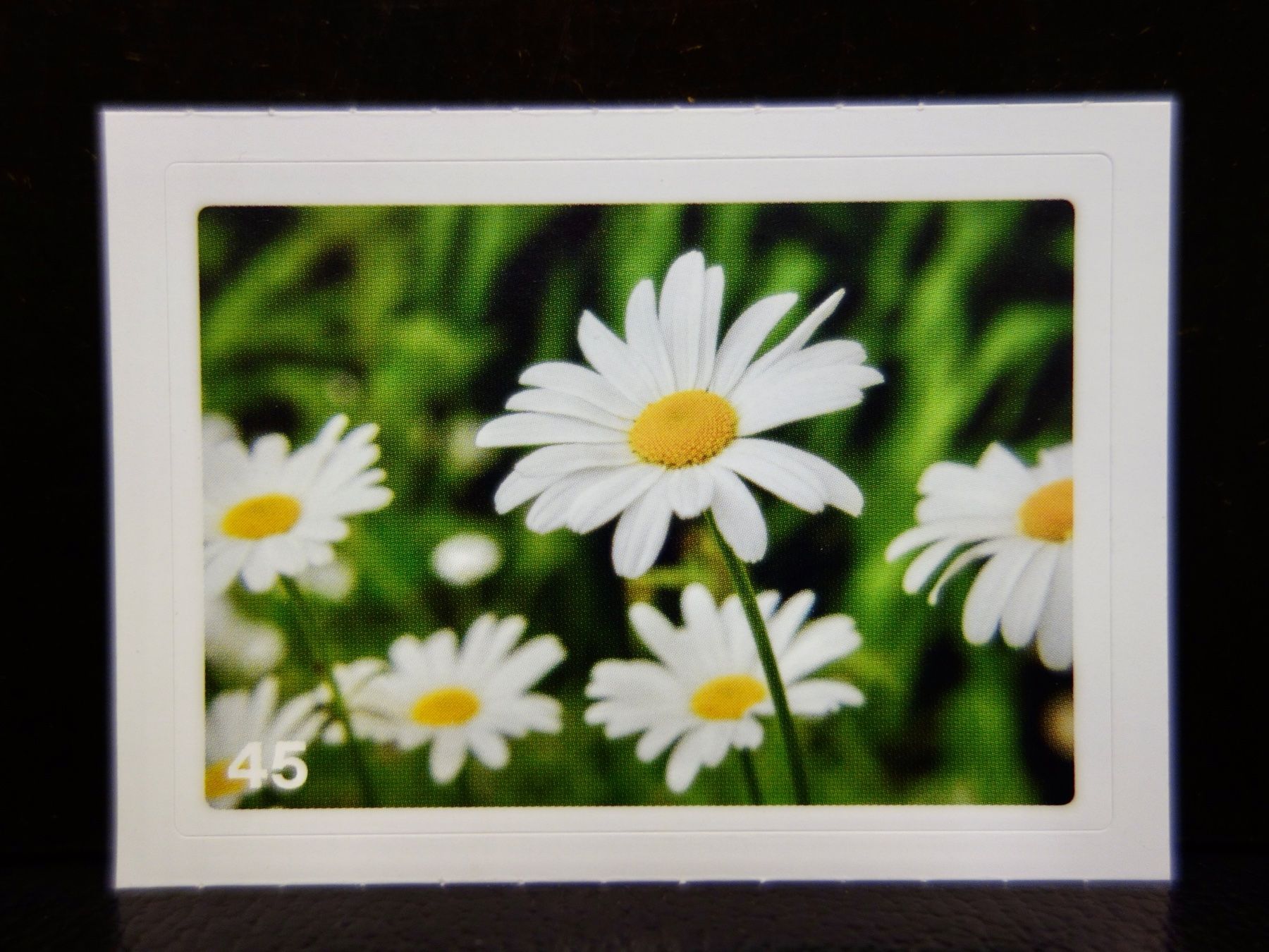 Migros Carte collezionabili: MIGROS MANIA Nature Detectives Nr. 45 – Nuovo e nell'imballaggio originale da Kerzers venduto da djstarsky73