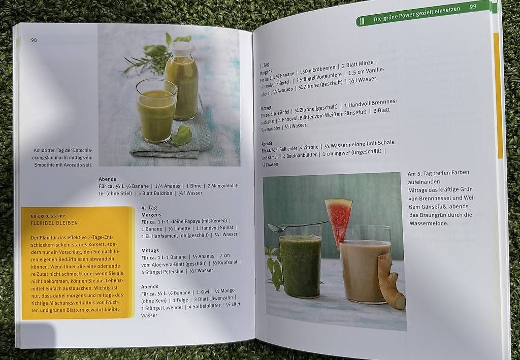 Libri: Grüne Smoothies – Usato da Rothenburg venduto da Rias 1
