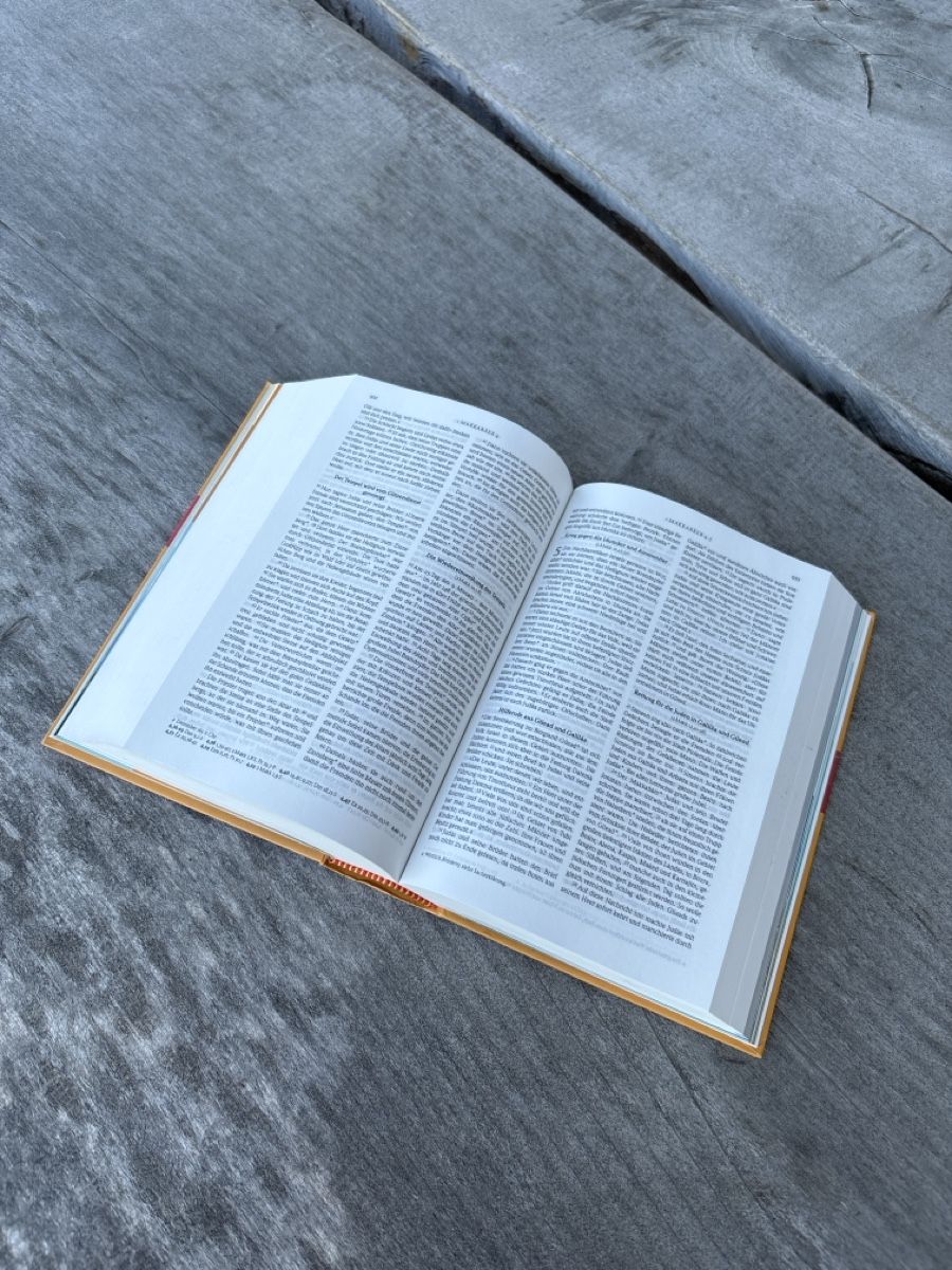 Libri: Die neue Gute Nachricht Bibel – Nuovo (secondo la descrizione) da Schattenhalb venduto da jarowilli 1