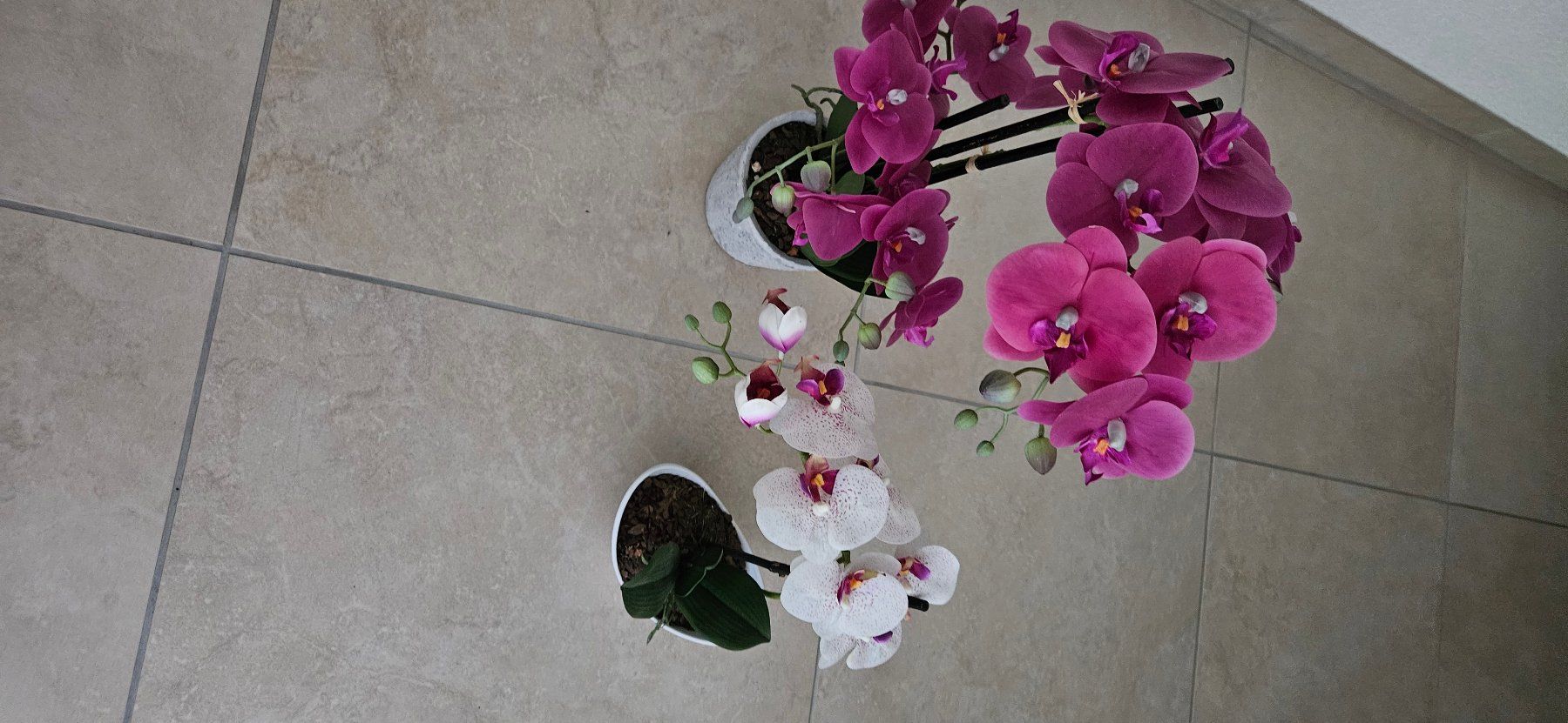 Piante & sementi: 2 Stck künstliche Orchideen – Nuovo (secondo la descrizione) da Birrwil venduto da Mischabel1