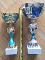 2 Coupes argentée et bleue de 40 cm et 35 cm