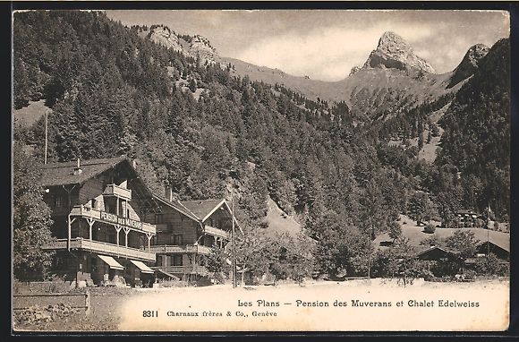 Cartes postales: Les Plans, Pension des Muverans et Chale – D'occasion à Berlin par bartko-reher