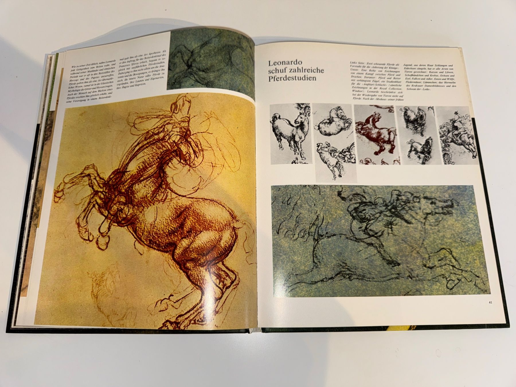 Libri: BUCH: Leonardo da Vinci und seine Zeit – Usato da Grosswangen venduto da Second_hand_paradise 4