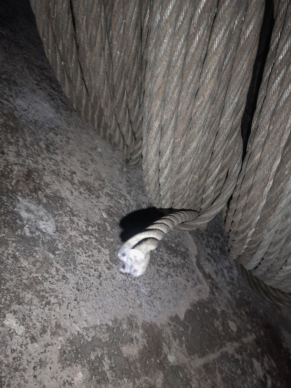 Ferramenta: Stahlseile 6 Stück – Usato da Studen SZ venduto da Mostelbock02 1