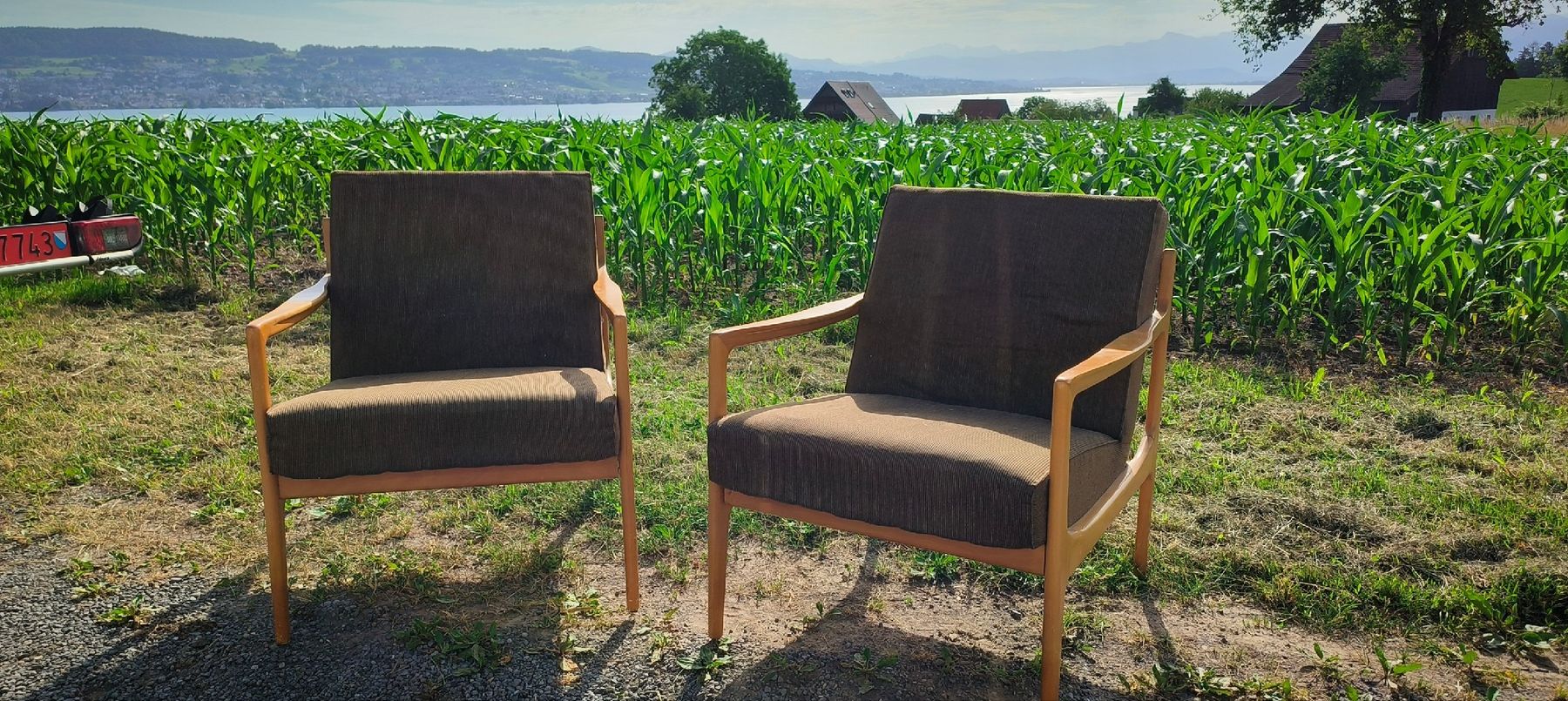 Poltrone: Mid Century Sessel Vintage – Usato da Wädenswil venduto da M_Gee 1