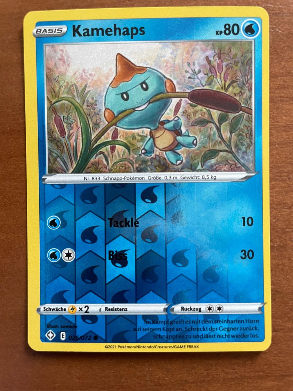 Pokémon Carte collezionabili: Pokemon Kamehaps Reverse (Versand gratis) – Nuovo (secondo la descrizione) da Chur venduto da Angerson