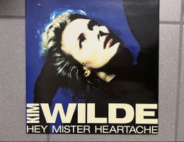 Kim Wilde 2 Vinyl Schallplatten Konvolut guter Zustand