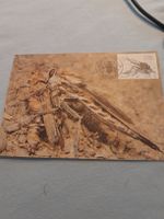 Carte postale entomologique rare - Insecte prédateur!