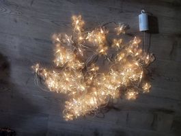 Lichterkette, warmweiss,  60 LEDs