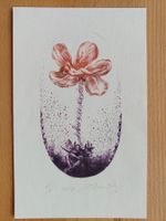 Exlibris Onnik Karanfilian - Original Grafik signiert