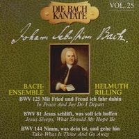 Bach Ensemble - die Bach Kantate Vol. 25