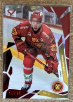 SC Langnau Red Parallel Harri Pesonen 14/20