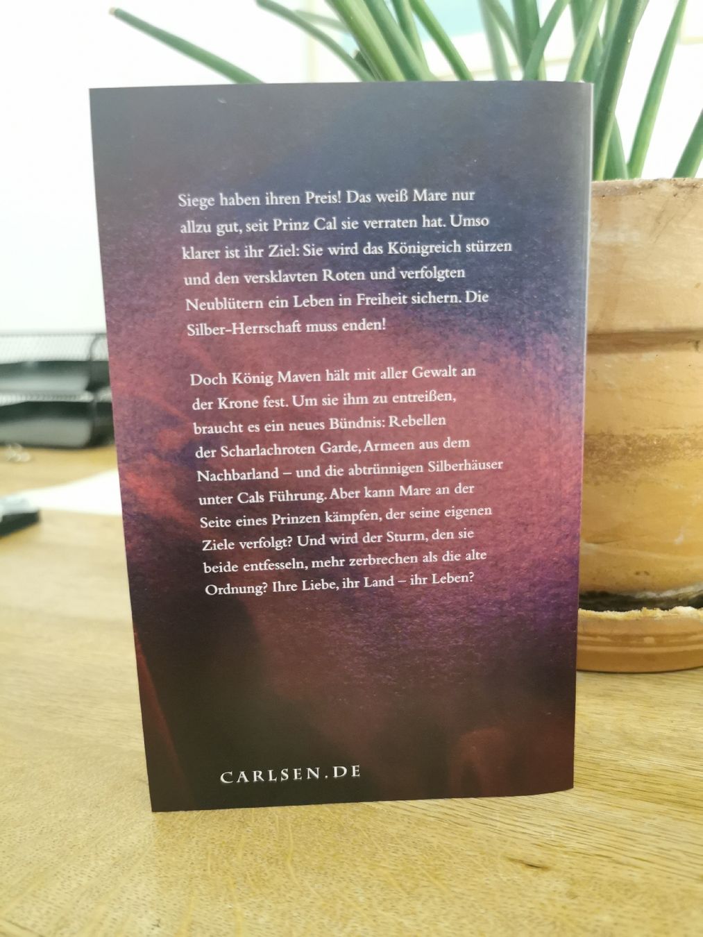 Livres:  Wütender Sturm - Victoria Aveyard – Neuf (Voir description) à Bern par cam_b7ts 1