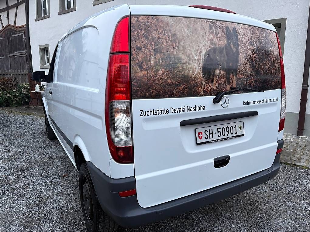 Veicoli commerciali: MERCEDES-BENZ 113 CDI 4x4 – Usato da Siblingen venduto da Siblingen85 2