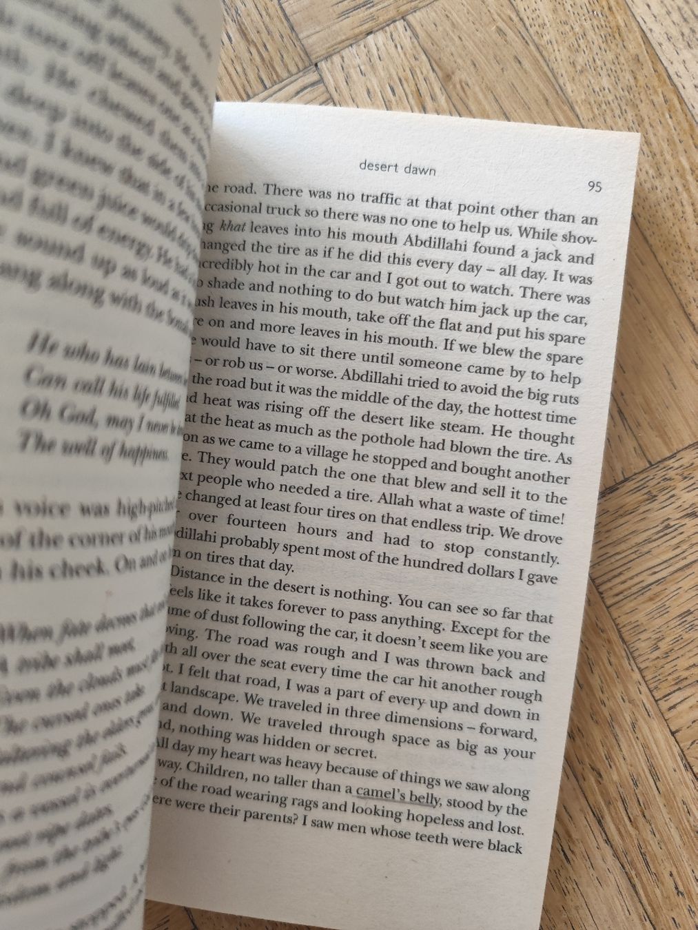 Libri: Desert Dawn by Waris Dirie, good condition, rare book – Usato da Mägenwil venduto da VintageGirly 3