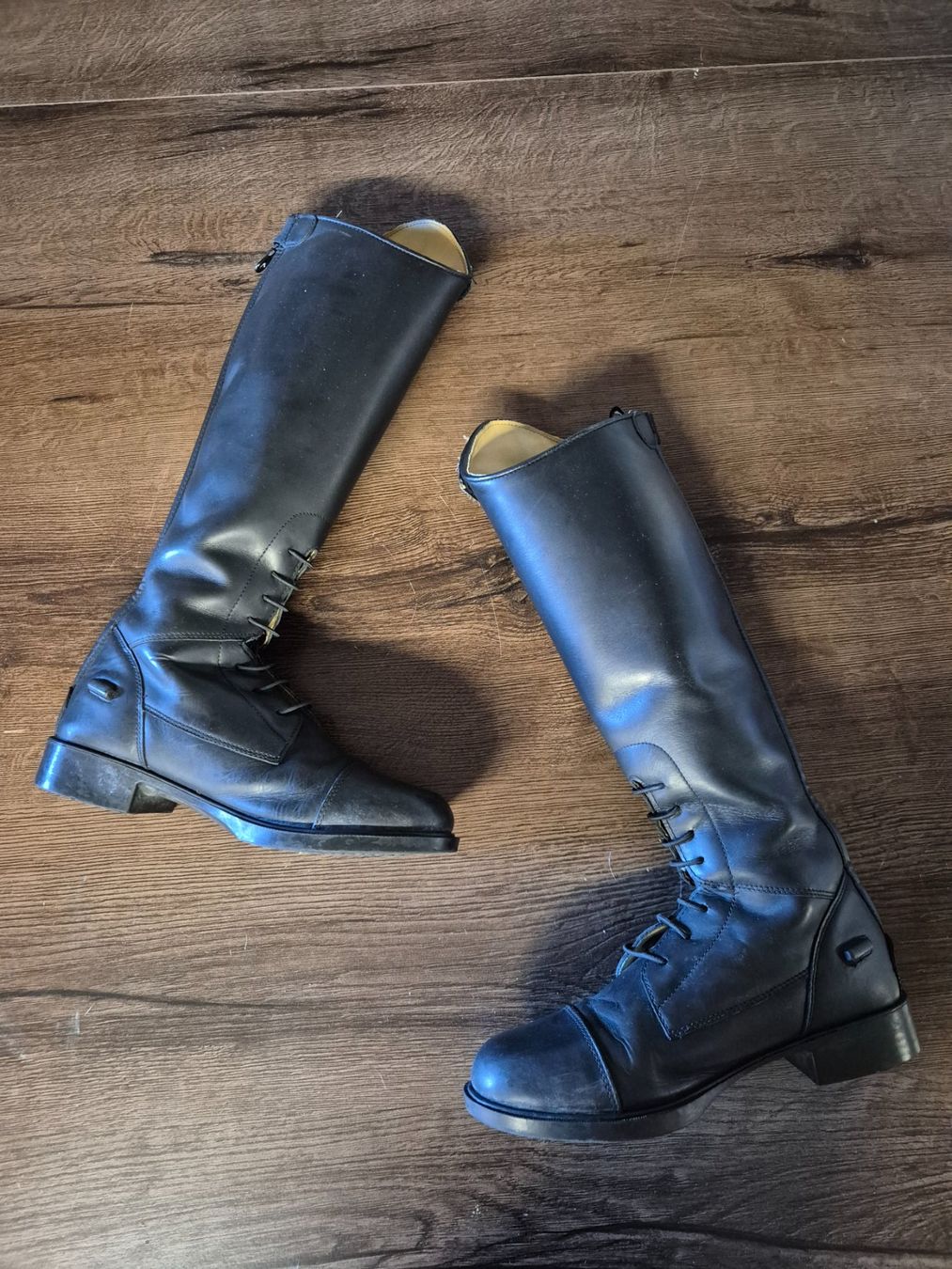 Scarpe da uomo: QHP Reitstiefel 36 – Nuovo e nell'imballaggio originale da Meggen venduto da Orrinka20 1