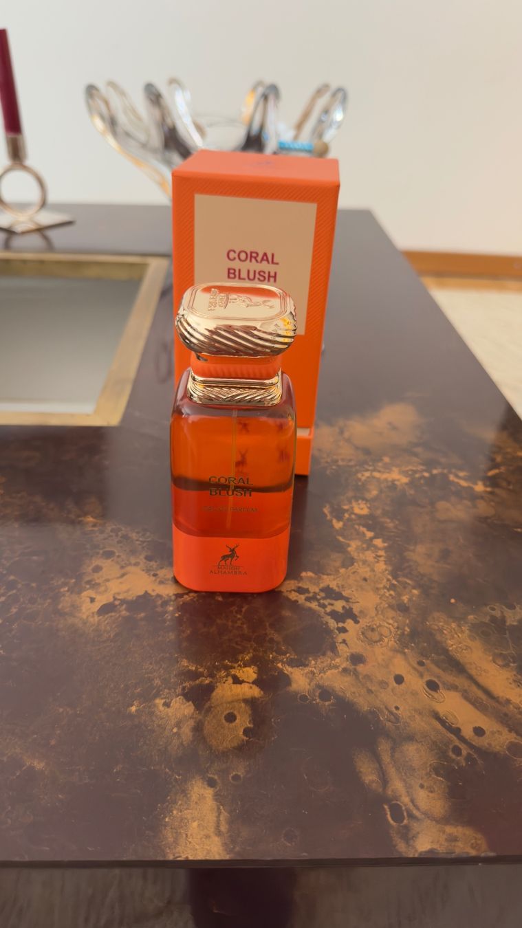 Parfum & Eau de Toilette: Lot 6 parfums EDP – Gebraucht aus Geneve von Alpaca_Vicuna
