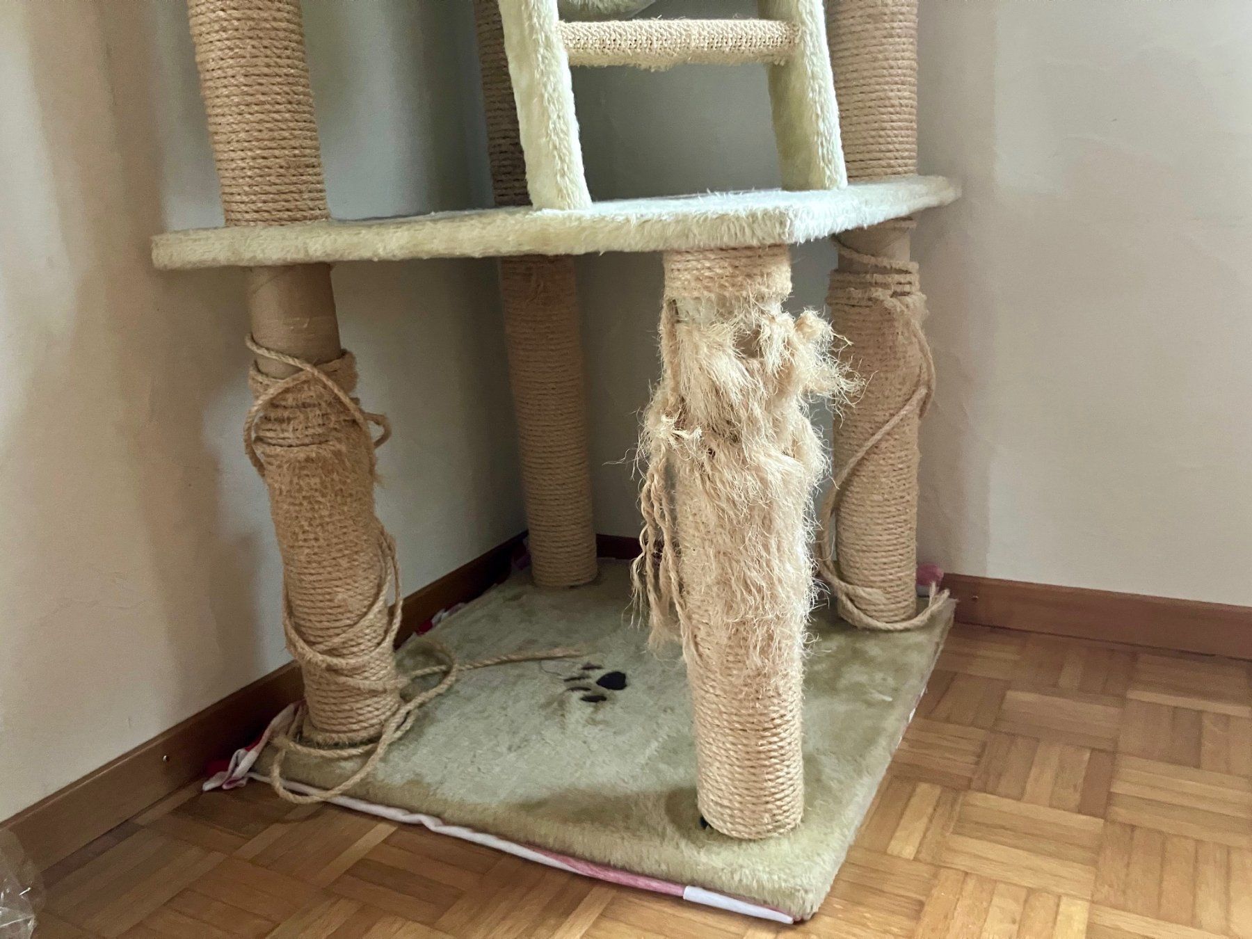 Tiragraffi: Katzenbaum/ Katzenkratzbaum – Usato da Niederbipp venduto da indira23 1