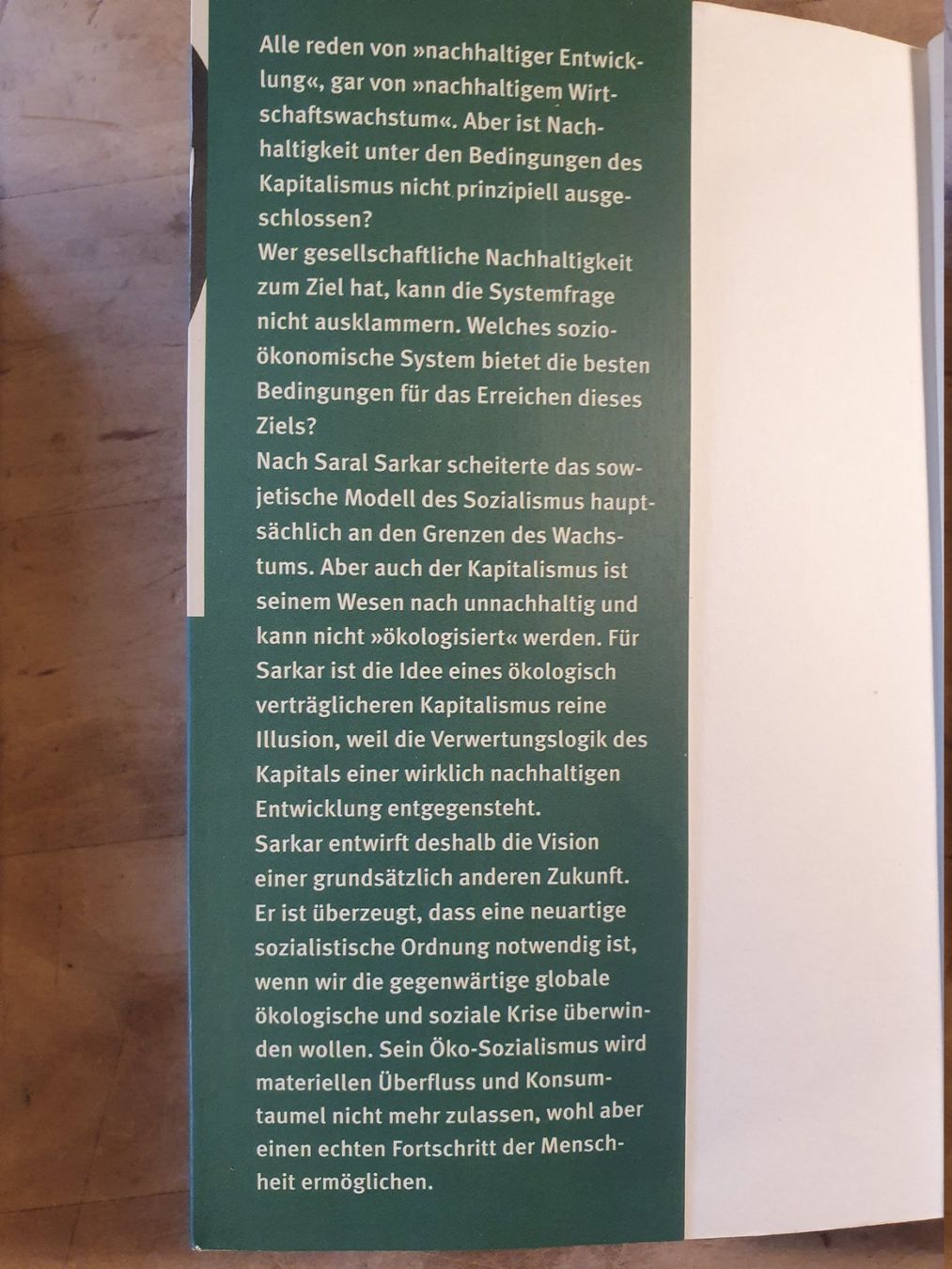 Libri: Die nachhaltige Gesellschaft Saral Sarkar Rotpunkt – Usato da Zürich venduto da loosebone 1