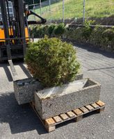 Beton Blumentröge Blumenkasten Pflanzkübel Waschbeton Kübel