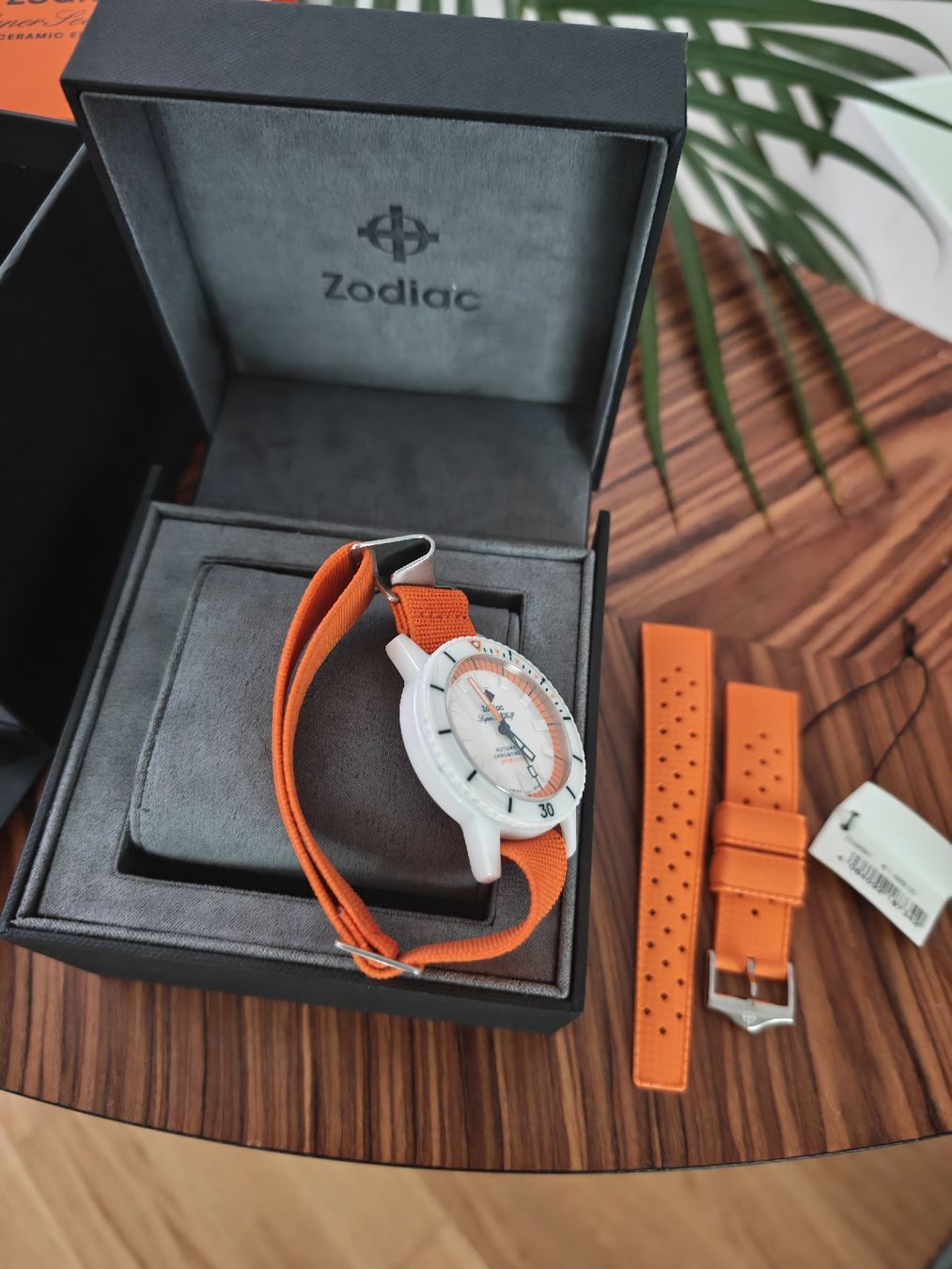 Zodiac Orologi: Zodiac Super Sea Wolf Ceramic Edition – Nuovo (secondo la descrizione) da Zürich venduto da Bestseller06 3