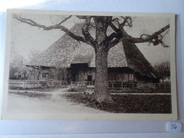Alte Ansichtskarte: Berner Bauernhaus, um 1900, Rarität!