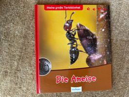 Die Ameise - Meine grosse Tierbibliothek - esslinger